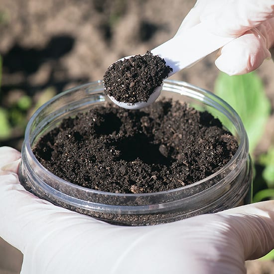 PFAS testing: 2024 in review and what to expect for 2025